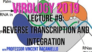 Virology Lectures 2019 #9: Reverse Transcription and Integration
