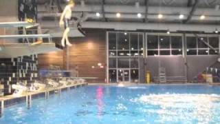 diving off the boards