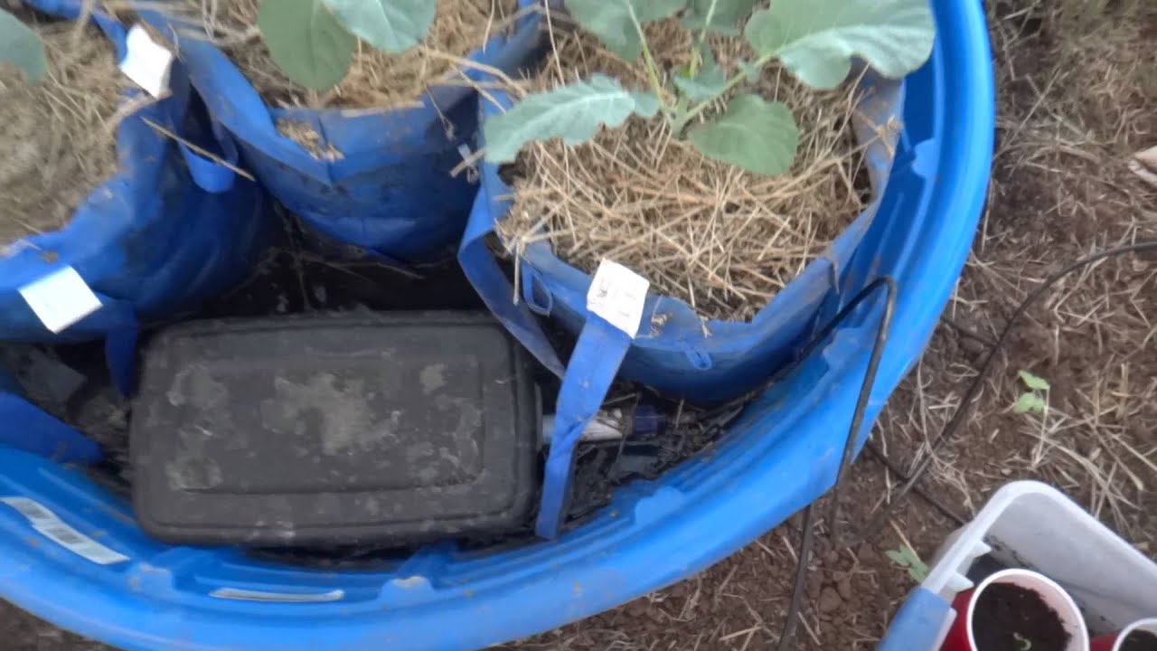 kiddie pool gardening YouTube