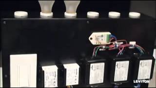 How to program Bi Level Control for the LevNet RF Occupancy Sensor in Auto and Manual Off and On Profile