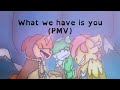 (PMV) What We Have Is You [MLP]