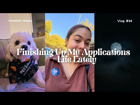 Finishing Up My PhD Applications + Life Lately | Car Trouble, IT Drama & Halloween Fail