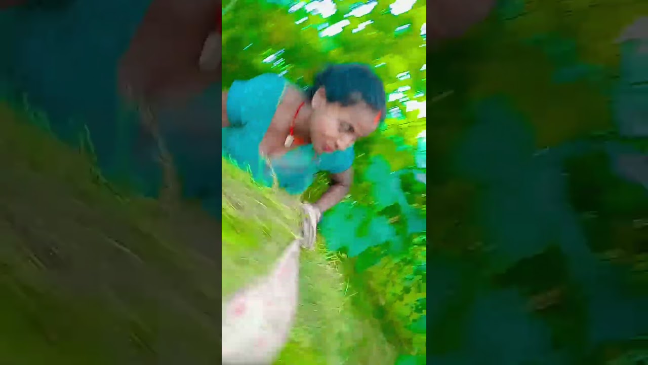 tohara# se nagin fir se aaye# Rani blue film