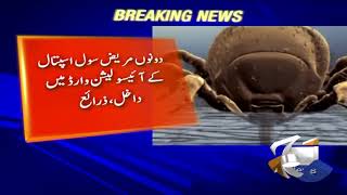 Karachi main Congo virus se mutasir 2 mareez hospital muntaqil