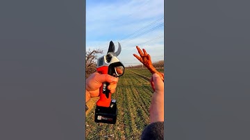 Multi-function cutting scissors #short M949