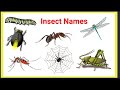 learn Insect and their names with spelling and video