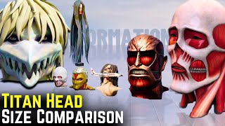 Titan Head Size Comparison 3D | #Titan #Sizecomoarison #titanseadsize