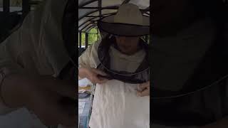 Пчеловод должен иметь Шляпа-маска пчеловода #анатолийстрелец