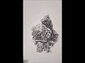 Time lapse vita ivantcha dessine les arbres