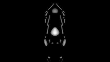 Exporting Image Slices from Volumes – Houdini Tutorial