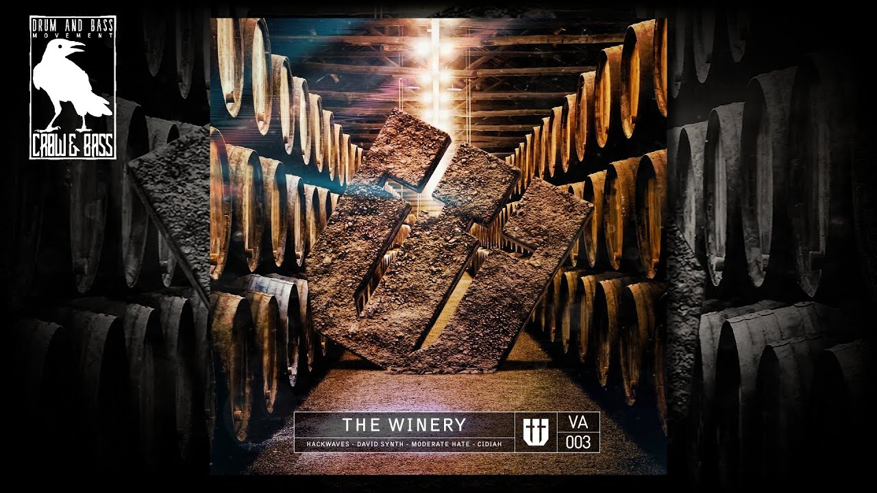 CiDiaH - Distortion in the Veins [Gutting Audio]