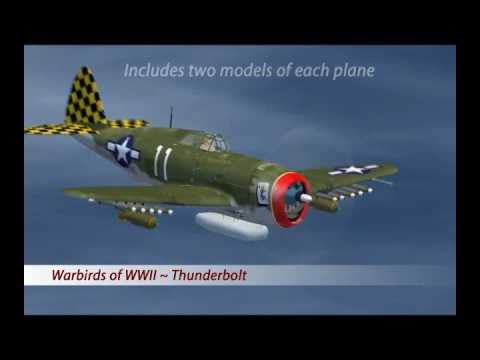 Warbirds of World War II