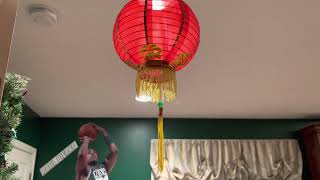 Chinese lantern