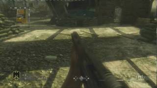 Quality Test (Dazzle DVC100) Call of Duty 5