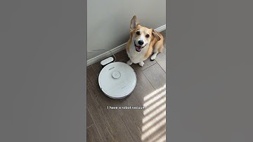 Shed happens but at least I have my @roborockglobal vacuum to help with that. 🐶 #TapTapClean #ad