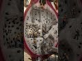 Dragon Fruit — Crystal Extraction Facility
