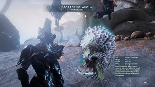 Fortuna - Foolproof Conservation Method.