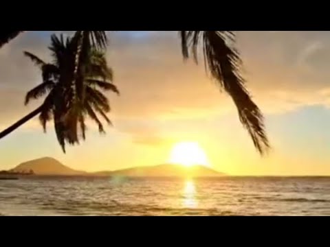 أنشودة الشوق في القلب ان القلب يهواك شيلة الشوق الى المدينة المنورة نشيد مريح عن الشوق المدينة 