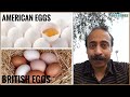 Eggs of UK &amp; USA !