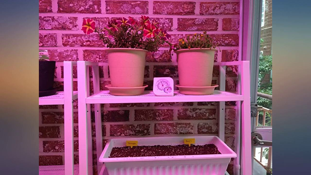 Giixer 1000W LED Grow Light, Dual Switch & Dual Chips Full Spectrum LED Grow Light review