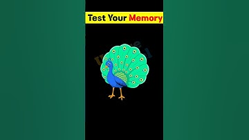 Memory riddle 9- riddles and puzzles for IQ test 🧠|#shorts  #viral