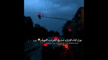 حالات واتس اب تلاوة هادئ 😴بصوت عمير شميم 🎧