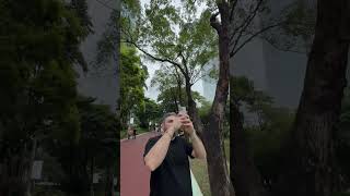 Гуанчжоу центральный парк