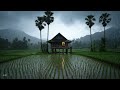 Countryside background with relaxing sound for release some stress #countryside  #Relaxing #relax
