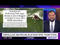 ‘For what?': Hosts blast Trump's $14.7M reflecting pool disaster, as paint peels and algae blooms