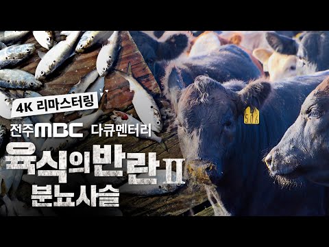 [4K 리마스터링] 대량사육으로 한국 농촌은 썩어가고 있다?😡 분뇨사슬이 뭐길래?ㅣ전주MBC 다큐멘터리ㅣ육식의 반란ㅣ명작 고화질 리마스터링ㅣ명품 다큐