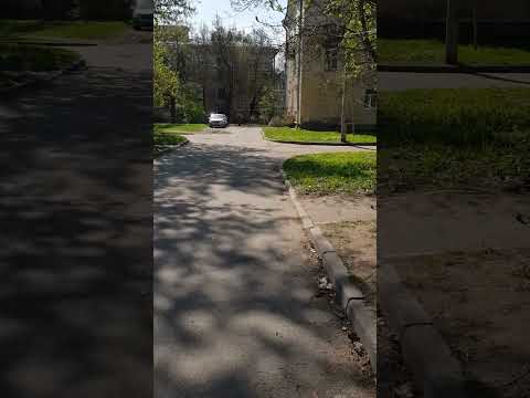 Бензиновый самокат Вектор-3.М