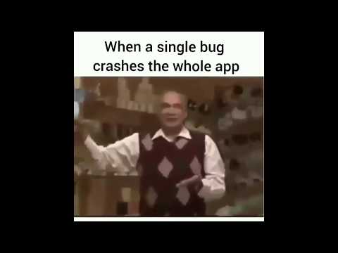 When a single bug crashes the whole app // Programmer Memes June 2020 // Soletluna