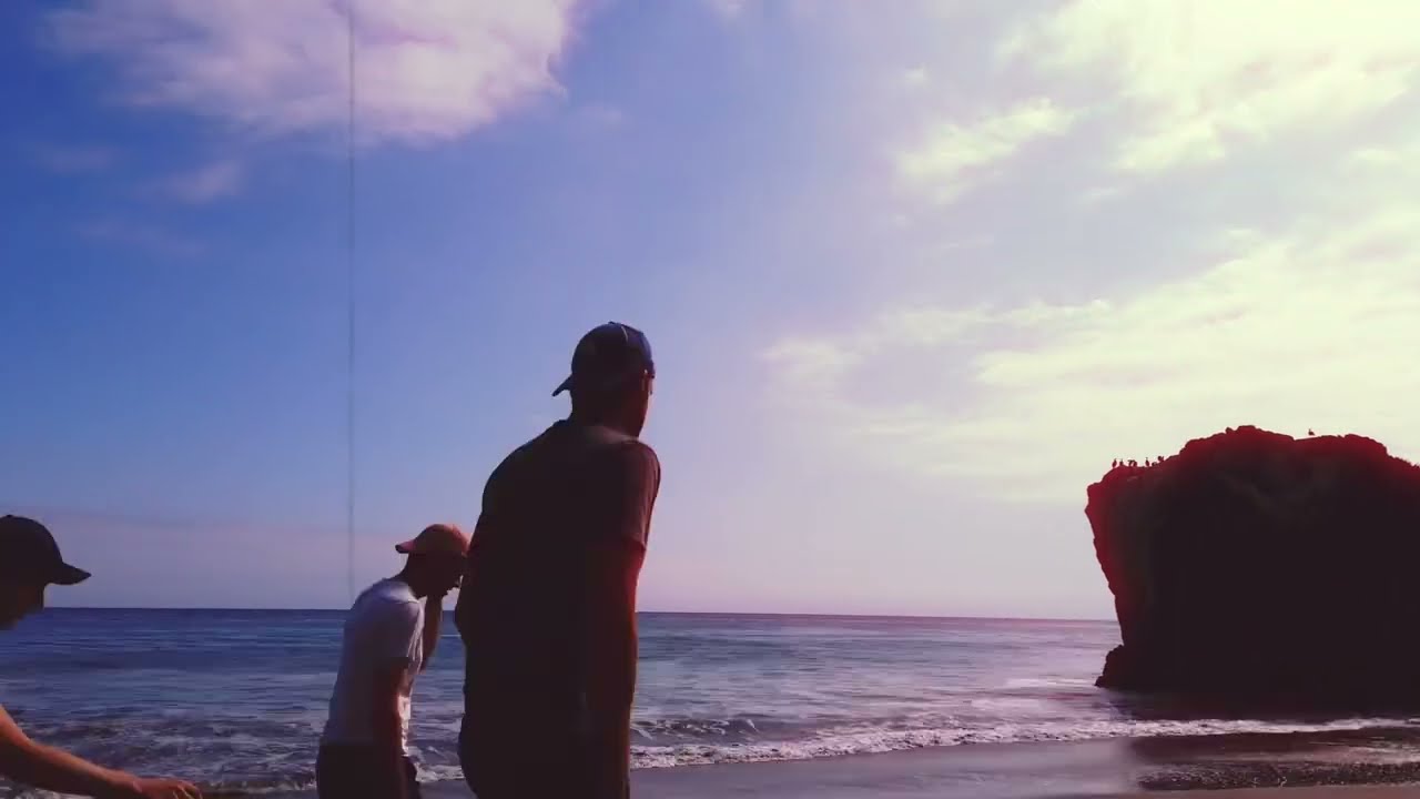 Watch Glo Phase - Seaflowers on YouTube Watch Glo Phase - Seaflowers on YouTube