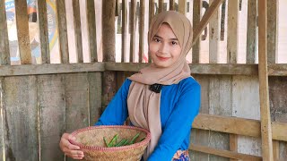 Terpesona Melihat Kecantikan Dan Kelembutan Neng Lia Perawan Desa Hidup Sederhana Di Pedalaman
