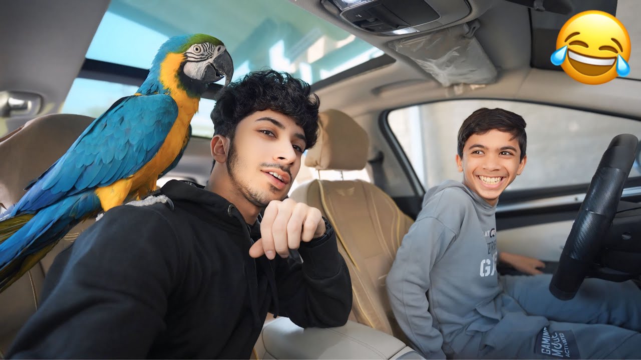 Мы выпустили попугая из дома! (Мы были в шоке!) 😨