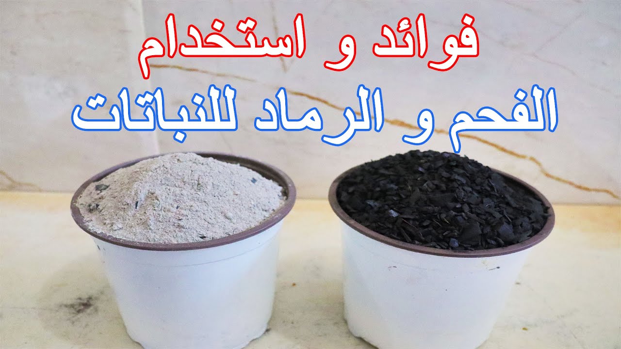 فوائد و استخدام الفحم و الرماد للنباتات