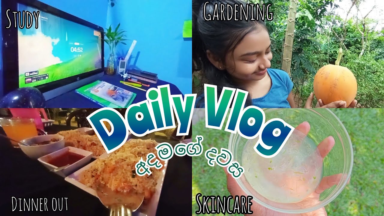Daily Vlog🪄🩵අපේ වත්ත වටේ රවුමක් යන්ද🍃#dayvlog #dailyvlog #adayinmylife #skincare #studyvlog