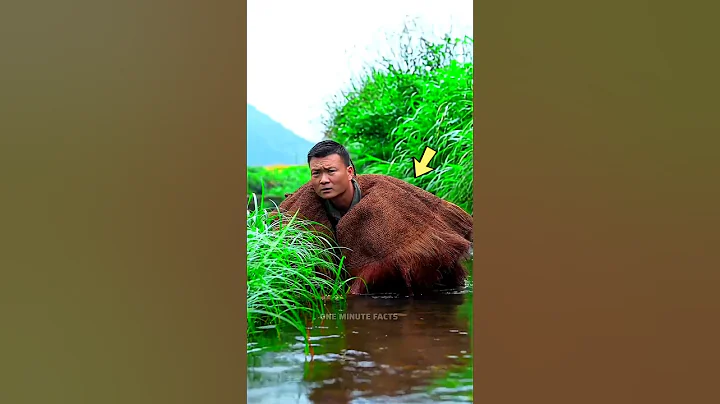 Unique Raincoat Made From Palm Leaves.