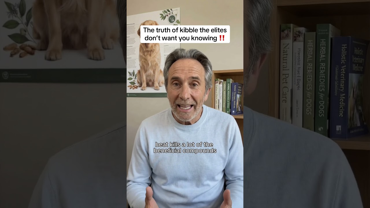 comment “optimal” and i’ll share the optimal diet for your dog 