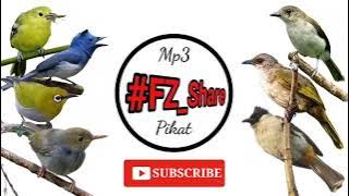 Mp3 Pikat Suara Campuran Burung Receh