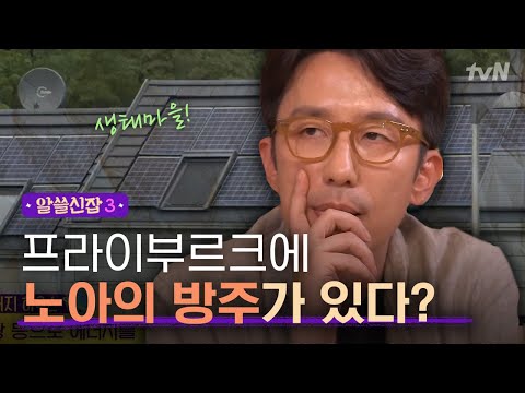 [#알쓸신잡3] 에너지까지 자급자족? 프라이부르크 속 작은 친환경 마을, 보봉 (Feat. 차 없는 거리!)