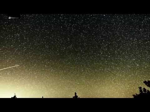 მეფე - ნაიარევს | MEFE - Naiarevs