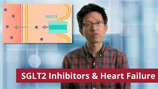 SGLT2 Inhibitors and Heart Failure