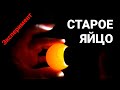 ПЛОХОЙ вывод? Причина НАЙДЕНА! Возможно у вас СТАРОЕ яйцо.