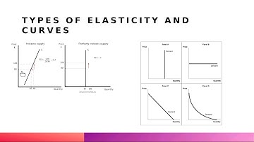 Chapter 5 - Elasticity