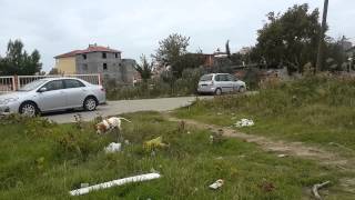 Efess Eğitim