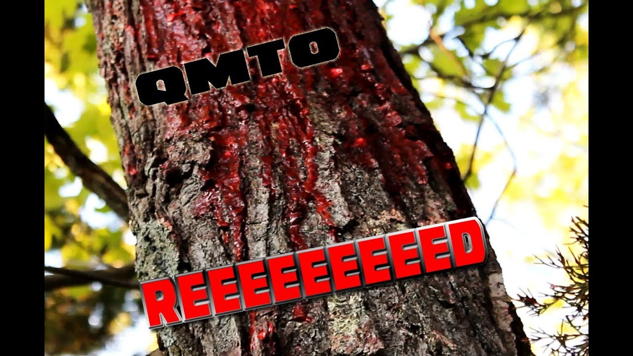 qmto Reviews Red Paintballs (Nelson Nelsplat) YouTube