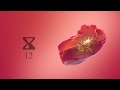 Miniature de la vidéo de la chanson The Heartbreak V2