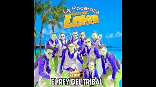 Video thumbnail of "Sonora Loka - Despierta La Ciudad [Audio]"