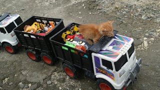 Trek Gandeng dan Si Manis kucing lucu menemukan mainan